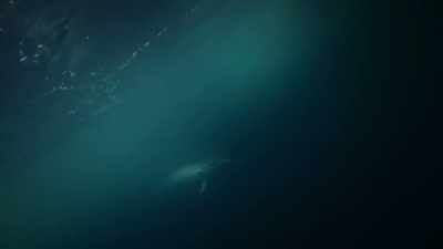 And after late night, - Deadliest Catch: Bloodline