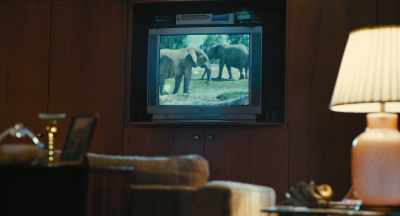 And lead to additional elephants
in the future, - Wyrm
