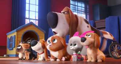 ...and learn how to be
adorable, wide-eyed - The Secret Life of Pets 2