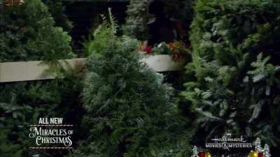        And legend has it, - A Christmas Miracle