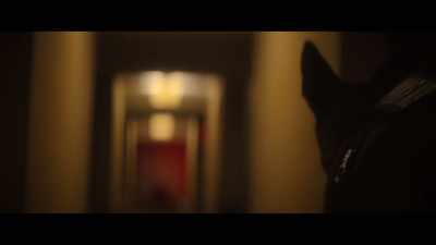 And like any other stimulant, - Crime Scene: The Vanishing at the Cecil Hotel