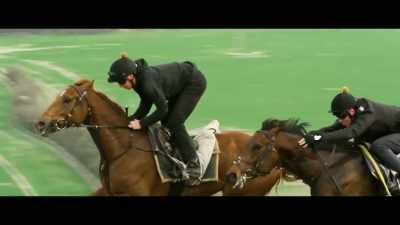 And like every trainer, - Horsepower