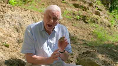 And it lived about 180 million years ago. - David Attenborough: A Life on Our Planet