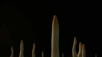And before long, life seized
these new opportunities. - Cosmos: Possible Worlds