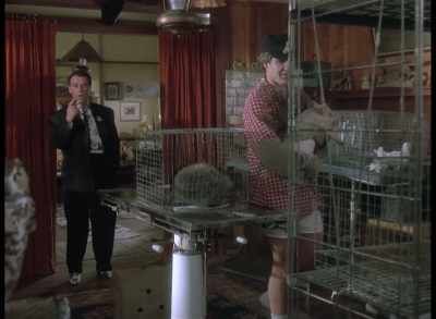 And look at me now,
sole proprietor - Quantum Leap