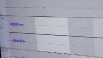 And it looks like we got some
pretty interesting evp evidence - The Holzer Files