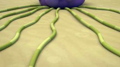 And it looks
like these tentacles belong to… - Octonauts and the Great Barrier Reef