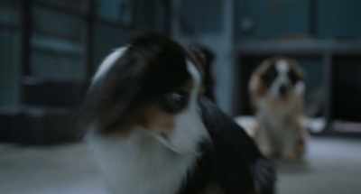 - ♪ And me love you long time ♪
- ♪ Oh, shit ♪ - Strays