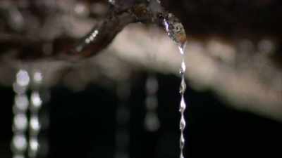 And they lower down
tentacles, if you will, - The UnBelievable with Dan Aykroyd