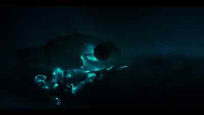 And, to make matters worse, - Our Oceans