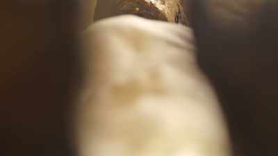 ..and make Tutankhamun's tomb
notorious - Tutankhamun: Secrets of the Tomb