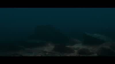 And many die. - Nova