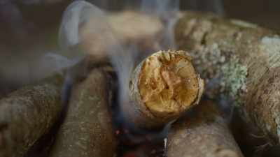 And while mesquite wood is
common to use for cooking - Restaurants at the End of the World