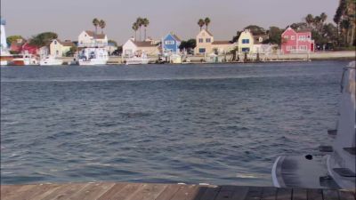And Michael arrived at the courthouse - Arrested Development