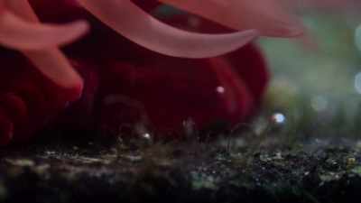 And even more surprising than that... - Welcome to Earth