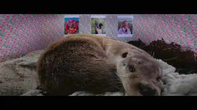 And as much as we loved
watching her in it, - Billy & Molly: An Otter Love Story