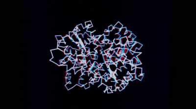 -And that mutation causes
a kink in the protein - Human Nature