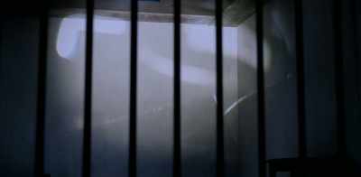 And near the scene the crime - Fugitive: The Curious Case of Carlos Ghosn