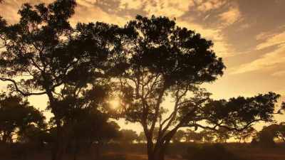And as night approaches... - Super/Natural
