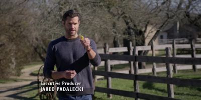 And no dandelions, - Walker