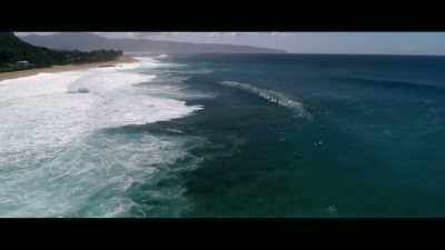 And no fatalities, - Envoy: Shark Cull