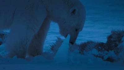 And not everyone will survive
long enough to see the sun - A Year on Planet Earth