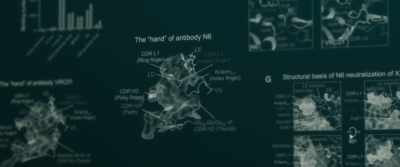 And not only did they
find this person, - Citizen Bio
