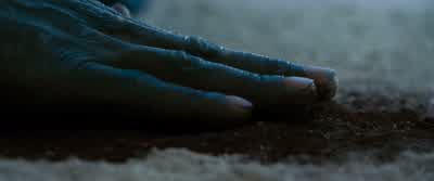 Now we are freeI will see you againBut not yetNot yet - Gladiator