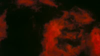 ROBERT: "And now I am become Death. - Oppenheimer