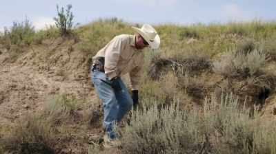 AND NOW I WANT TO REWARD HIM - Dino Hunters