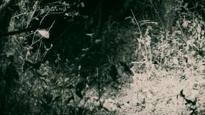 AND NOW, IT'S ALMOST DAWN. - Expedition Mungo