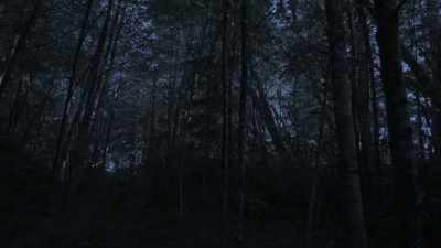  And now it's just
 a matter of time - Expedition Bigfoot