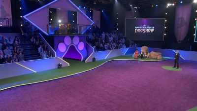 And now, please put
your hands together - 2022 American Rescue Dog Show