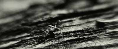 And so now... - Kinds of Kindness