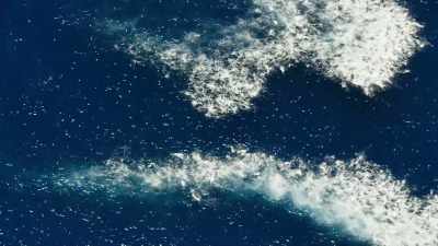 And now the sea begins to boil. - Blue Planet II