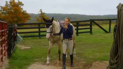 And now you think
you found it again? - Taking the Reins