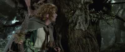 And now we cannot find them. - The Lord of the Rings: The Two Towers