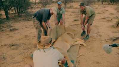 AND NOW WE NEED
TO LEAVE THIS LIONESS - Expedition Mungo