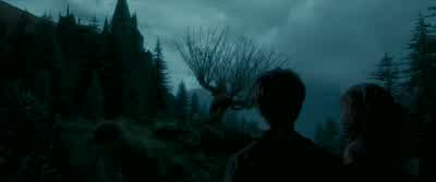 And now we waitAnd now we wait - Harry Potter and the Prisoner of Azkaban