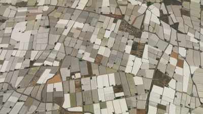 And so now whole landscapes
are dominated - The Green Planet
