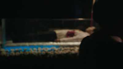 And of course,
outside of that, - The Kingmaker