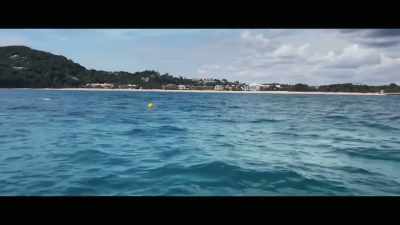 And of course, - Envoy: Shark Cull