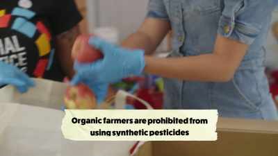 And, of course, while we would
prefer organic - What Am I Eating? With Zooey Deschanel