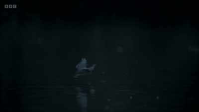And on this autumn night, - Wild Isles