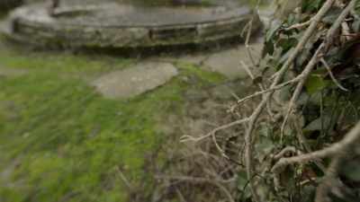 And on the day,
pointe du hoc was empty, - Secret Nazi Ruins
