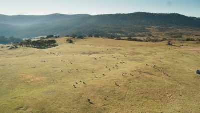 And on these open plains,
you need speed... - Seven Worlds, One Planet