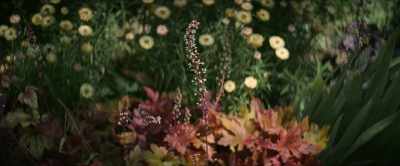 And this one always makes me
think about my little boy, Johnny. - The Lost Flowers of Alice Hart