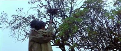 And one for both of us - Rabbit Proof Fence