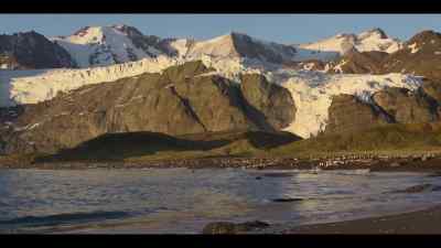 And one day, he'll return to these shores - Our Oceans