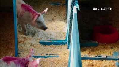 And one of the things which we did was to see - Pignorant